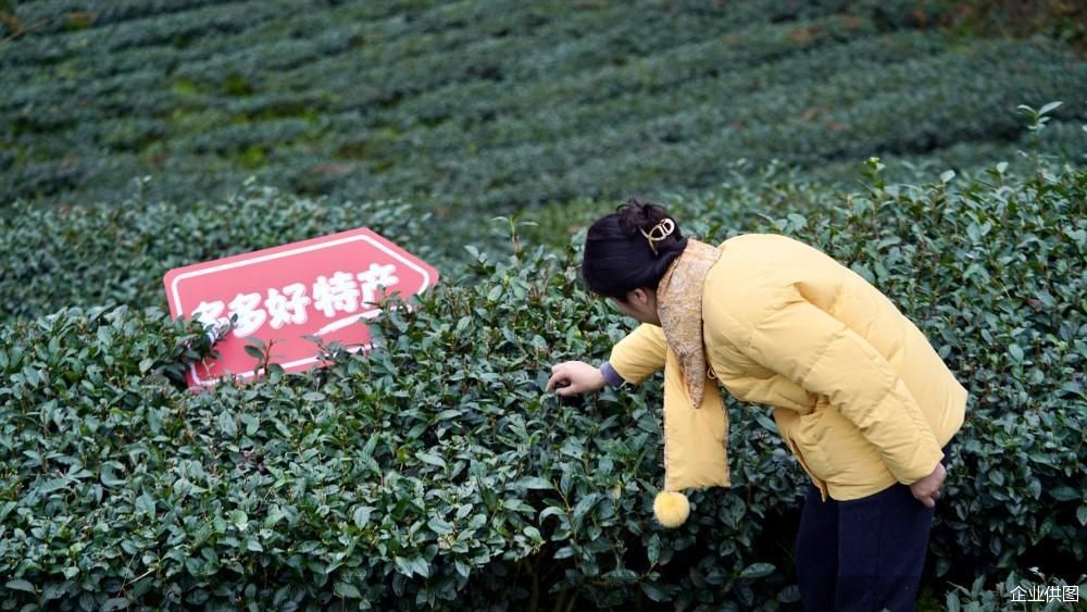 企业供图