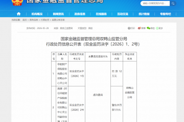 因虚列费用，申能财险双鸭山中心支公司合计被罚13万元