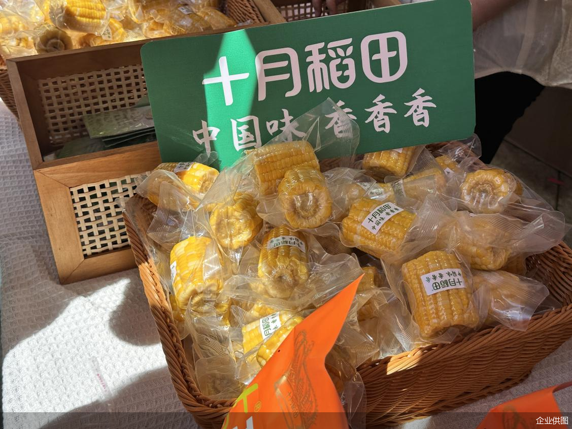 企业供图