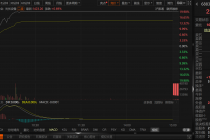 斥资60亿元！业绩承压的大全能源欲切入AIDC配电赛道