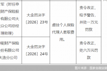 虚挂个人保险代理人套取费用，申能财险大连分公司合计被罚7万元
