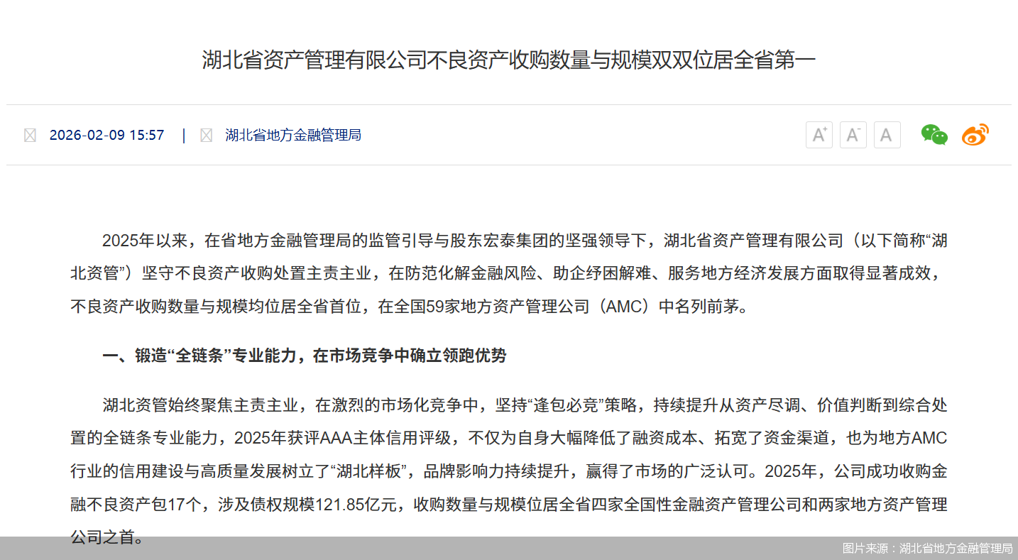 图片来源:湖北省地方金融管理局
