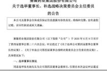 年内三换董事长、医药跨界AI遭质疑，*ST赛隆身陷退市危局