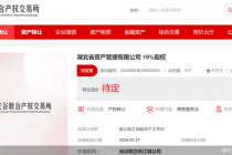 营收下滑、净利缩水超八成，湖北资管19%股权遭股东清仓式挂牌