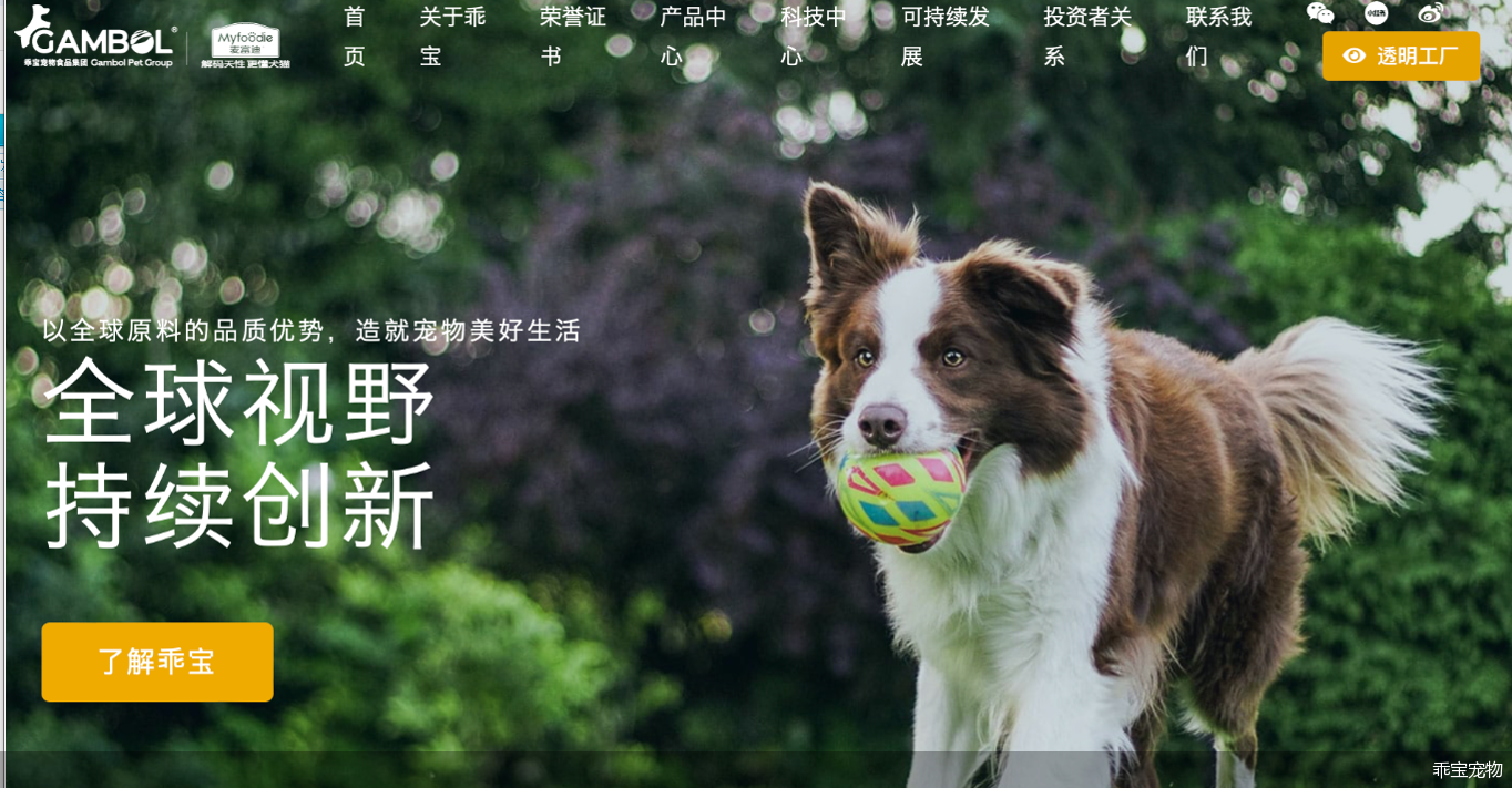 乖宝宠物