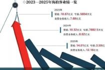 超20亿元负债压顶 海拍客赴港上市背水一战