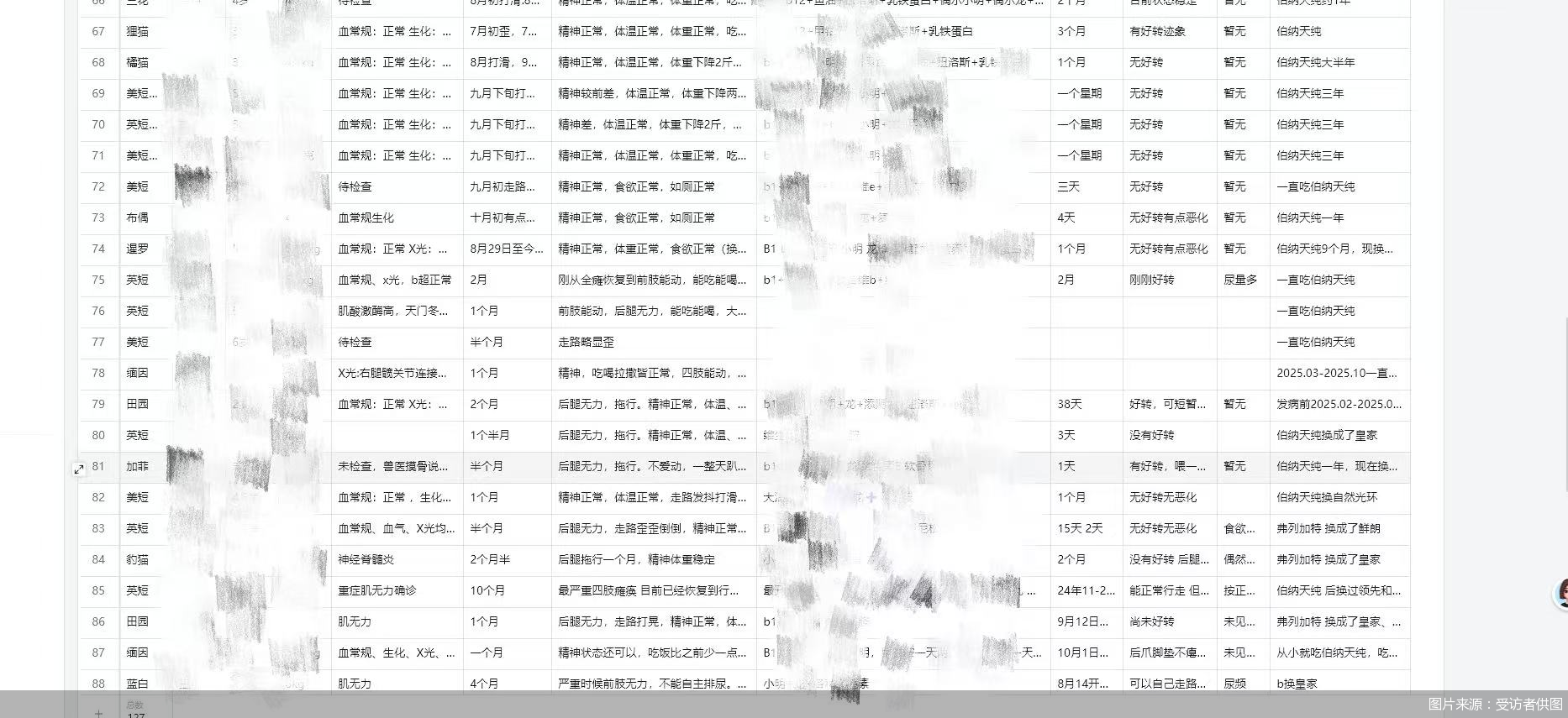 图片来源：受访者供图