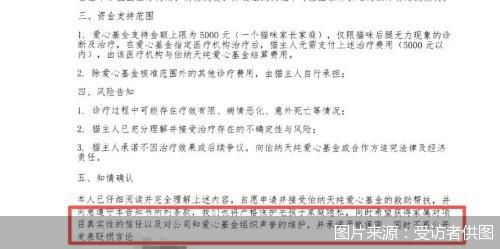 图片来源：受访者供图