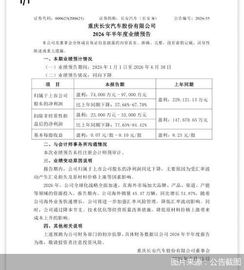 图片来源：公告截图
