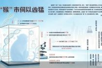 炒猴热不退 五大概念股“含猴量”几何