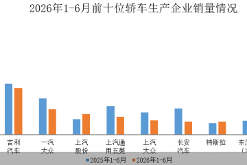 中汽协：2026年1—6月销量前十轿车生产企业共销售294.2万辆