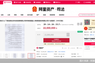 部分股权将被拍卖、创始元老离任，国富人寿增资后面临新变局