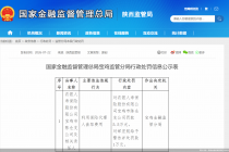 利用保险代理人套取费用，农银人寿宝鸡市陈仓支公司合计被罚6.5万元