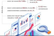 国家税务总局：实施税费征管“强基工程”