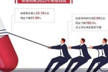 剥离投资重整主业 葵花药业首亏后转身