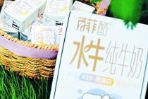 四冲资本市场 百菲乳业转战港股前路待考