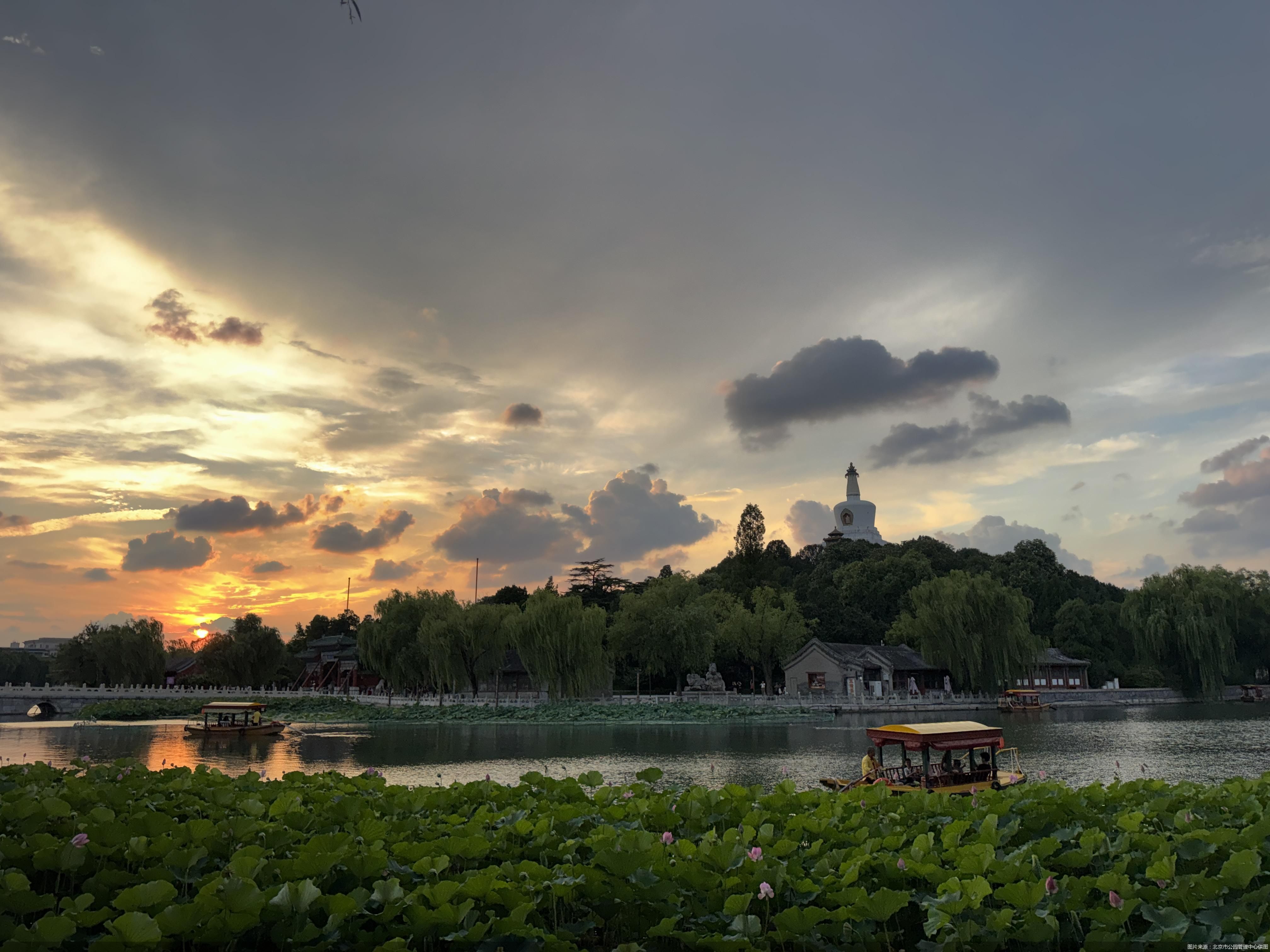 图片来源：北京市公园管理中心供图