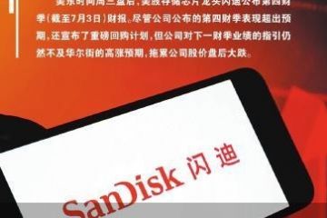 亮眼财报不敌偏弱指引 闪迪股价大跌