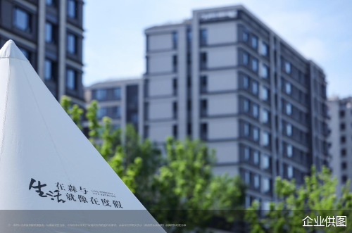 企业供图