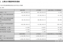 应收账款坏账准备计提“侵蚀”业绩，贝瑞基因中报两连亏