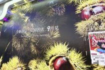 拆解零食新物种｜薛记炒货将上线短保烘焙品 新鲜零食逼急奶茶炒货店