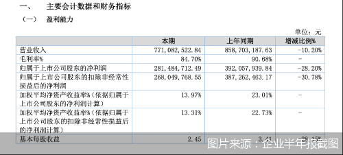 图片来源:企业半年报截图
