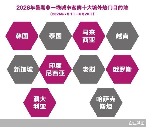企业供图