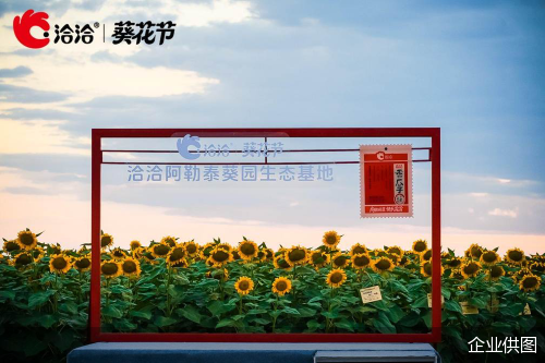 企业供图