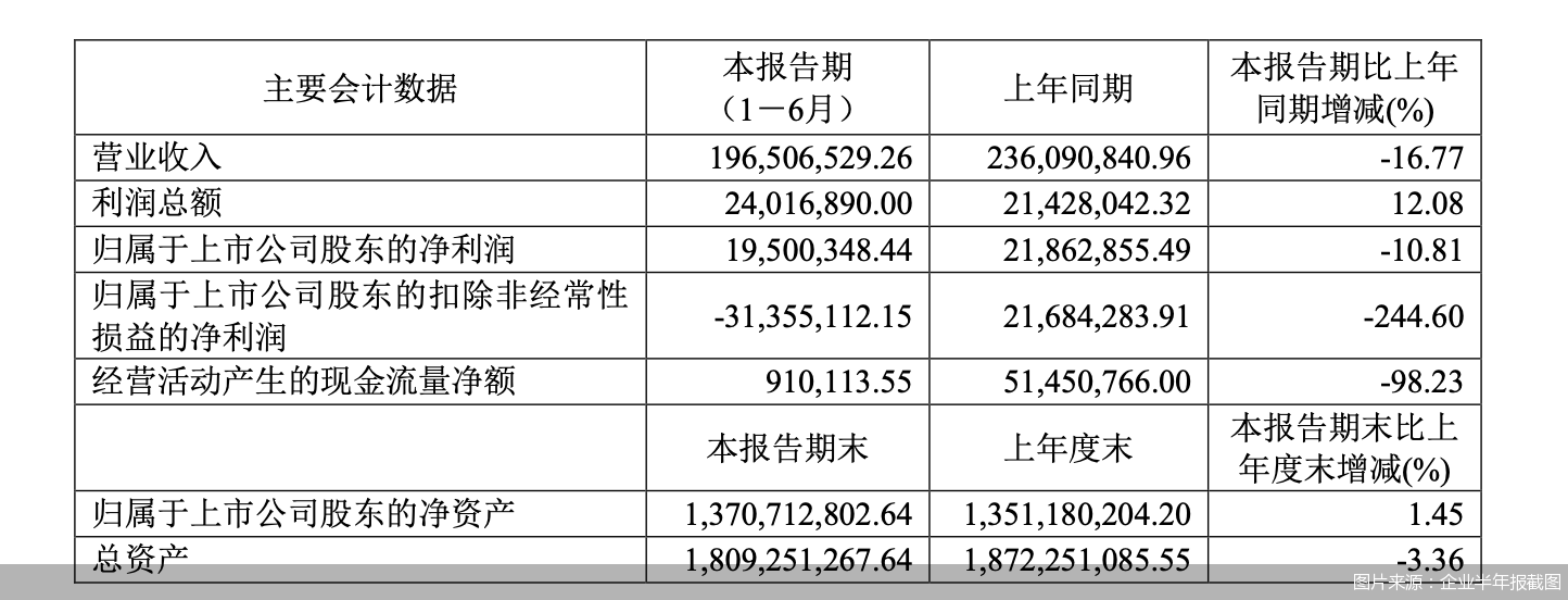 图片来源：企业半年报截图
