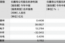 IPO一进一退，TCL站在资本新路口