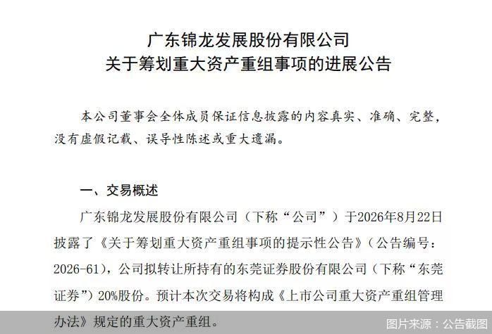 图片来源：公告截图