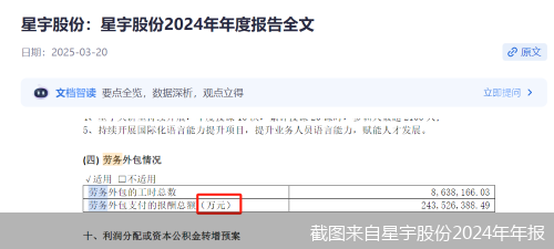 截图来自星宇股份2024年年报