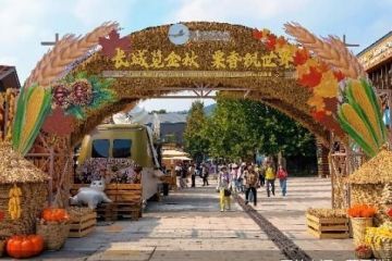 北京慕田峪长城国际板栗丰收节将持续至9月30日