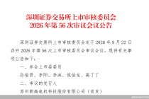 营收增速放缓、研发费用率逊于同行，朗高科技IPO迎考