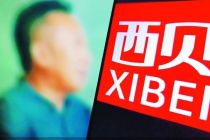 西贝走到岔路口