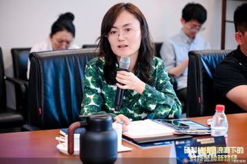 长城人寿杜嫦娟：建议建立险企股权投资容错机制，破除投资容错壁垒