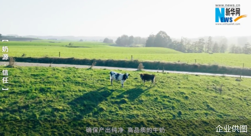 企业供图