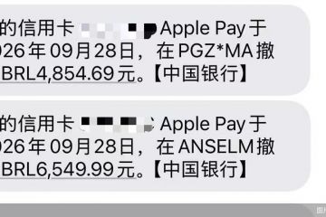 万事达卡批量境外盗刷调查：Token校验失守，设备卡号遭“黑客”试探，风控缺位谁之过？