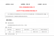 中国人寿：2026年半年度A股每股派现0.358元，合计派发101.19亿元