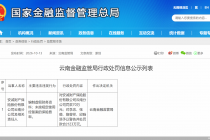 因编制虚假财务资料，安诚保险云南分公司合计被罚93万元
