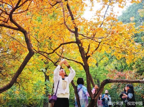 图片来源：视觉中国